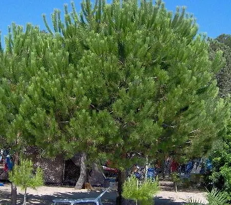 Il Cigno Апартаменты Тортоли